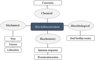 Progression of Bio-Tribocorrosion in Implant Dentistry